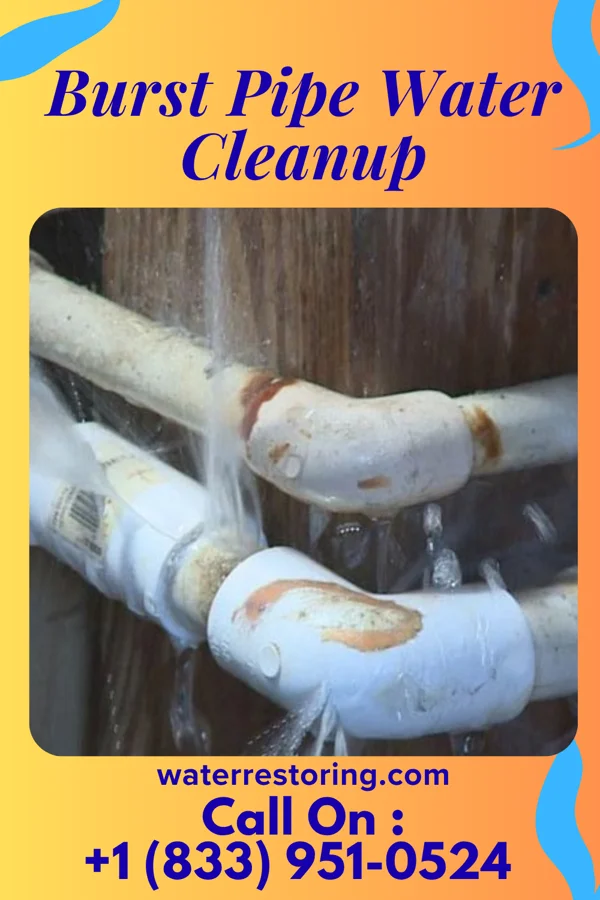 Burst Pipe Water Cleanup in Richland, PA