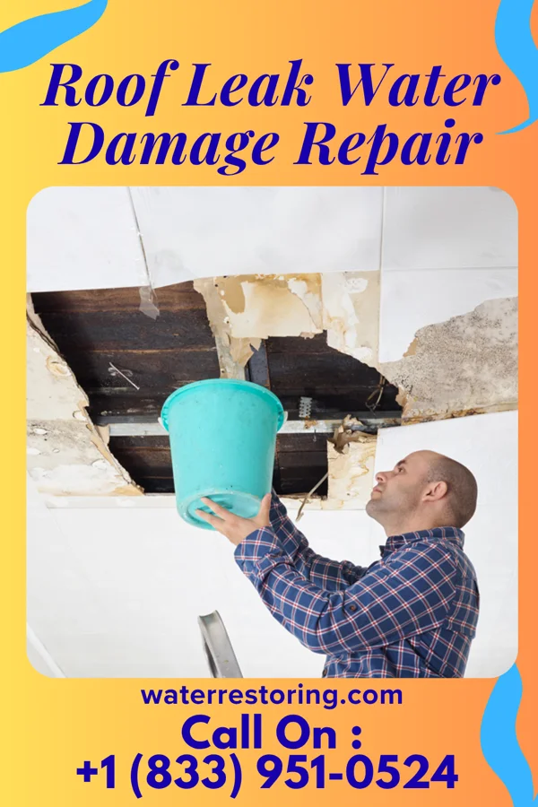 Roof Leak Water Damage Repair in Richland, PA